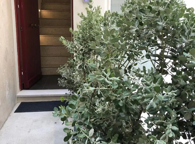 Alley House Pensjonat 4*