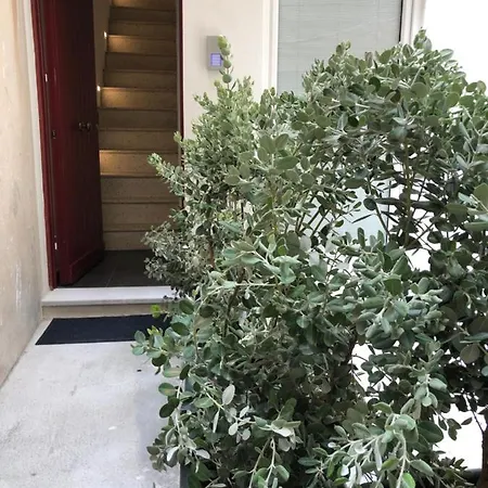 Alley House Гостьовий будинок 4*